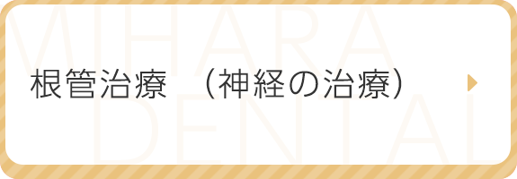 根管治療（神経の治療）