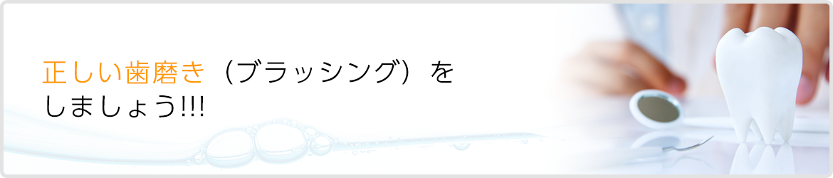 正しい歯磨きをしましょう！