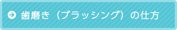 歯磨きの仕方